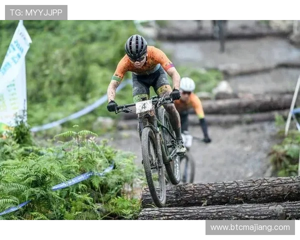 2024年K8体育登录新功能正式上线为广大体育爱好者提供更加便捷的赛事直播与互动服务